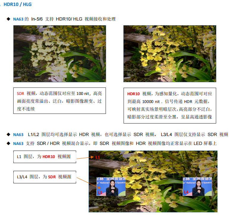 f5ed82a7-1570-4e7f-a78c-dfeddf75e6ab.png